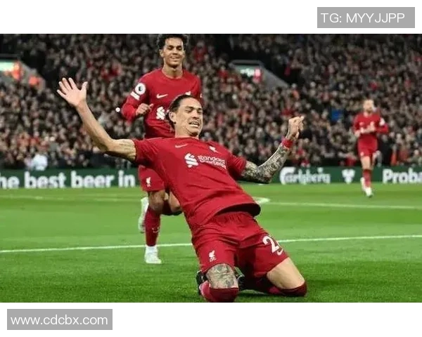 努涅斯在赛场上的崛起与挑战解析，未来能否成为足球界的新星