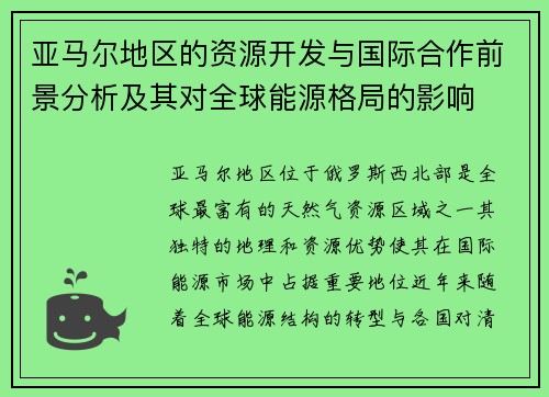 亚马尔地区的资源开发与国际合作前景分析及其对全球能源格局的影响