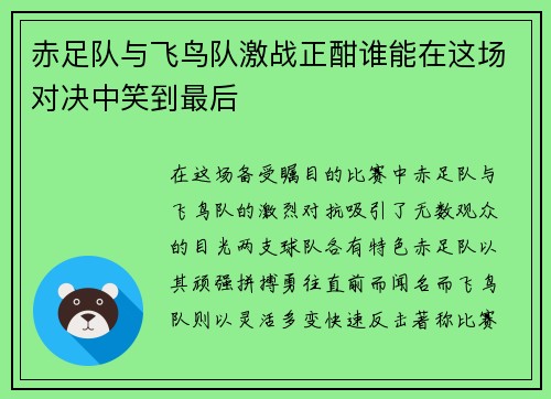 赤足队与飞鸟队激战正酣谁能在这场对决中笑到最后