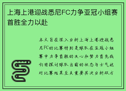 上海上港迎战悉尼FC力争亚冠小组赛首胜全力以赴
