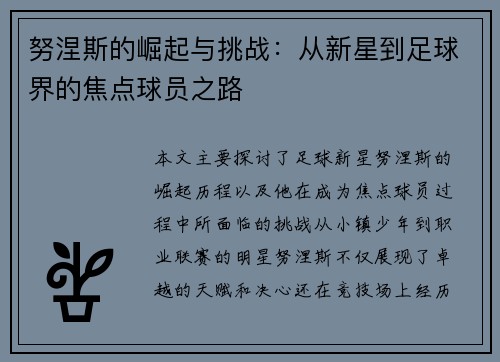 努涅斯的崛起与挑战：从新星到足球界的焦点球员之路