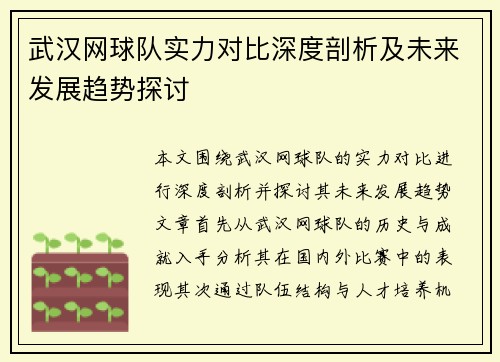 武汉网球队实力对比深度剖析及未来发展趋势探讨